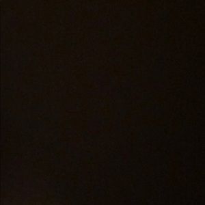 Meet your Posher, Daryl